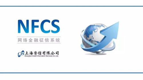 nfcs 征信系统,功能、作用与影响