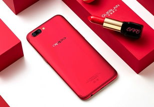 oppor11系统功能,oppor11参数配置详情