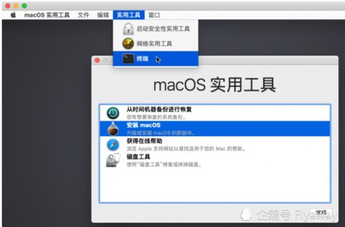 mac系统命令,Mac系统命令入门指南