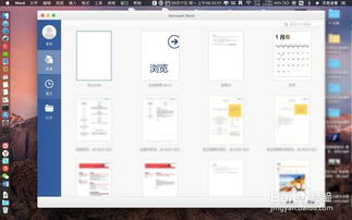 mac系统里word文档在哪里,Mac Word文档 存储位置 Finder 自动恢复