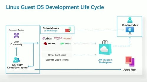 syntec是什么系统,Syntec系统概述