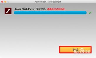 mac系统安装flash插件,Mac系统安装Flash插件全攻略