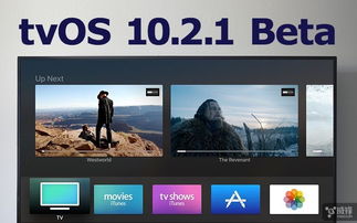 tvos系统下载,轻松升级您的Apple TV体验