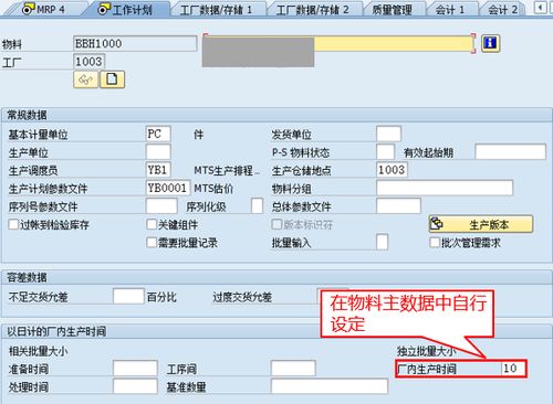 sap系统维护,确保企业运营稳定的关键