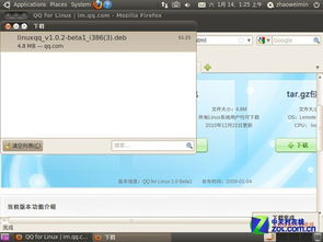 ubuntu系统qq,Ubuntu系统上安装QQ的详细教程