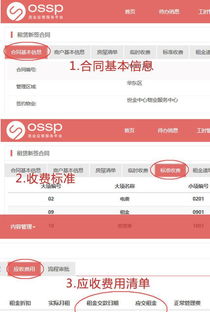 sap系统员,企业数字化转型的关键角色