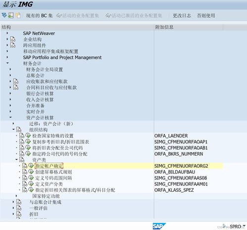 sap资金管理系统,企业财务稳健发展的智能守护者