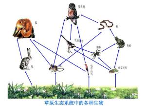 tme生态系统,癌症研究的革命性突破