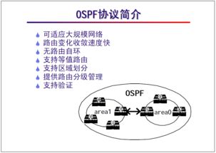 OSPF 自治系统,OSPF自治系统的概述