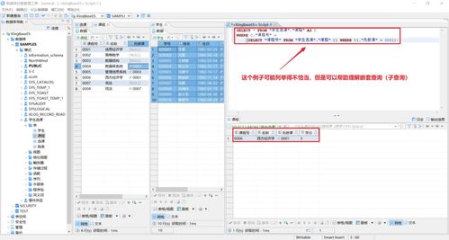 sql数据库管理系统,SQL数据库管理系统概述