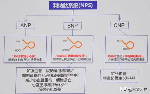 ras系统激活,什么是RAS系统激活？