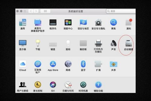 mac系统双系统,轻松实现Windows与MacOS共存