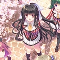 繁花落舞恋如樱 