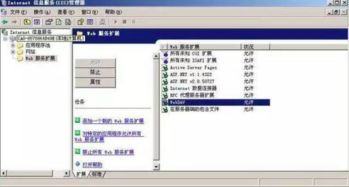 nsa xp系统,NSA Windows XP系统的历史与影响