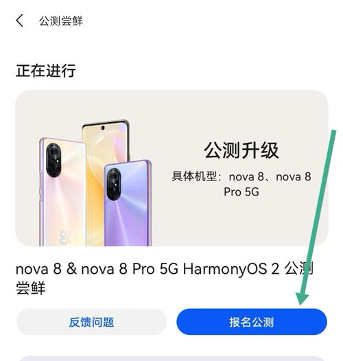 nova系统怎么升级,华为nova系列手机系统升级指南