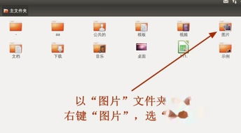 UBUNTU系统人群,自由软件的忠实拥趸与全球化的技术先锋