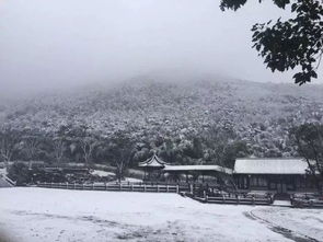 前庭雪游戏,探索虚拟世界的奇幻旅程