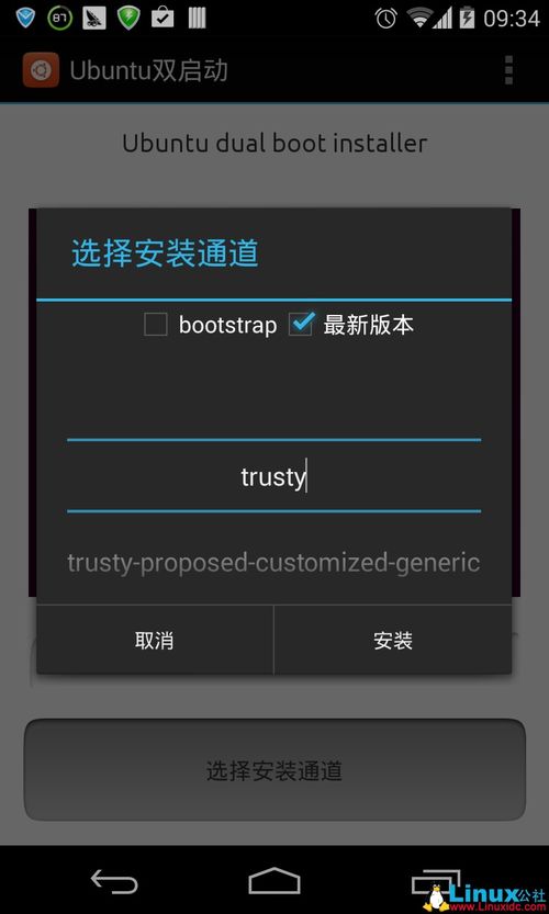 ubuntu安卓双系统,Ubuntu安装与启动指南