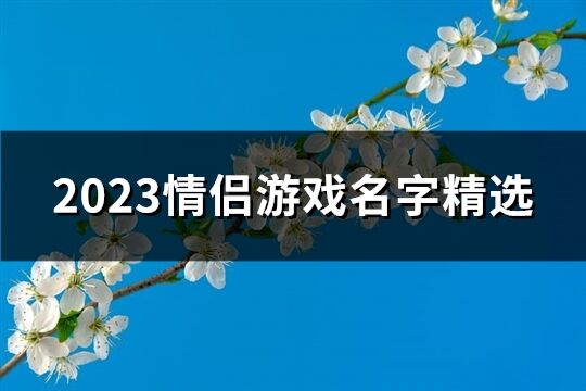 游戏名情话,情侣游戏名中的甜蜜诗篇