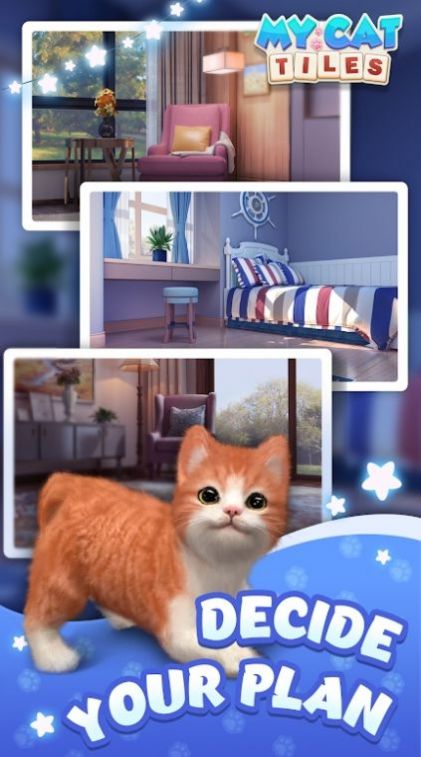 新猫猫游戏,盘点2025年最新猫猫游戏大赏