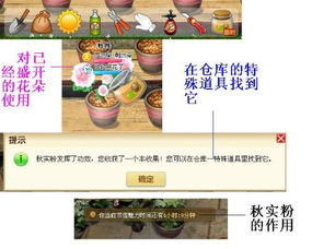 秋实游戏,数字彩票的趣味与策略