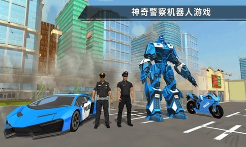警察大众游戏,体验正义与挑战的虚拟世界