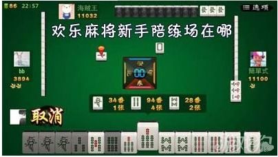 麻将游戏陪练,专业陪练助力技能提升