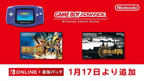 会员游戏switch,经典与新品汇聚的数字乐园
