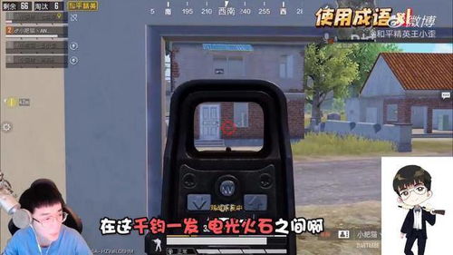 直播游戏成语,寓教于乐的互动新体验