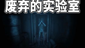 找花子游戏,2020年11月19日Steam平台发售