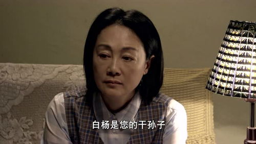 白杨游戏成瘾,深入解析游戏成瘾的成因与对策