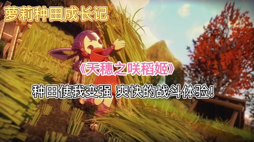 穂稻游戏,揭秘原神稻妻特产的获取与应用