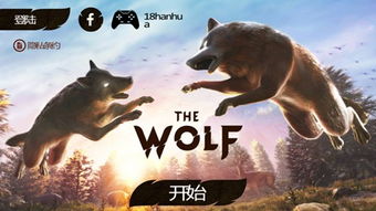 之狼游戏方法,策略与推理的生存挑战