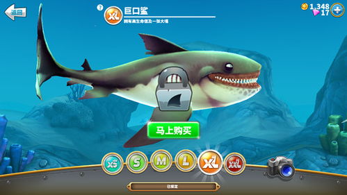哦鲨鱼游戏,鲨鱼游戏全解析