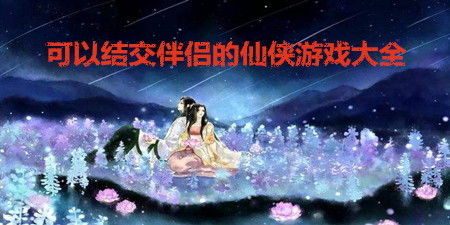 结交游戏,结交志同道合伙伴的奇幻旅程