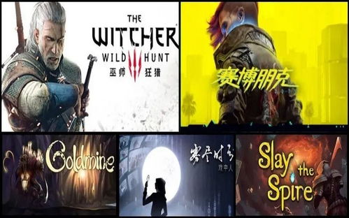 天价的游戏,揭秘那些令人瞠目结舌的天价游戏