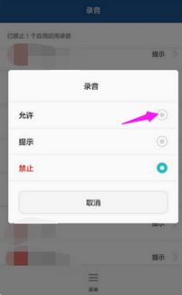 音频怎么设置安卓系统,这里假设库已经安装。