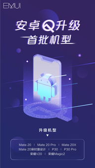 华为安卓8系统照片,照片应用新篇章