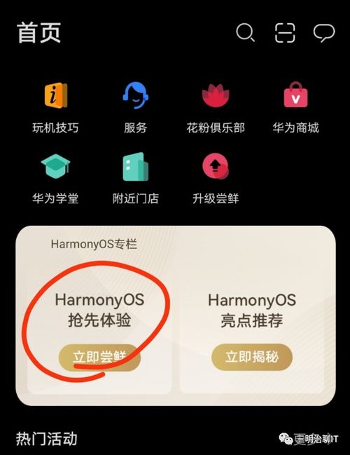 华为安卓系统换鸿蒙,迈向鸿蒙新纪元的跨越之旅