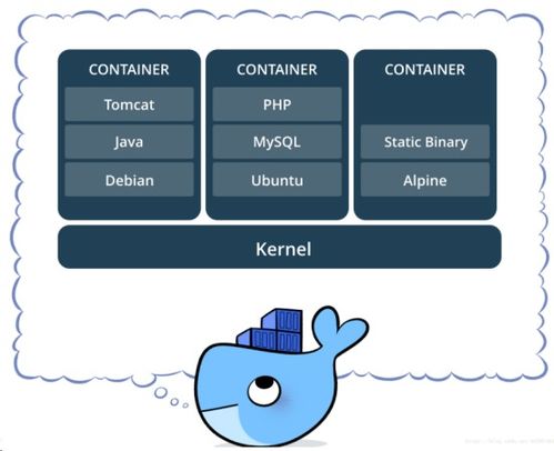 docker跑安卓手机系统,基于Docker构建安卓手机系统环境的实践探索