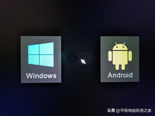 安卓加windows双系统,安卓与Windows的完美协作体验
