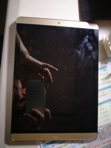 安卓双系统密码忘记,解锁秘籍大揭秘