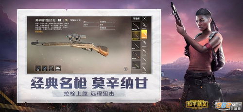 和平精英外服安卓系统,畅享全球竞技盛宴