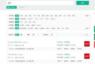 安卓系统开发员,安卓系统开发员必备技能解析