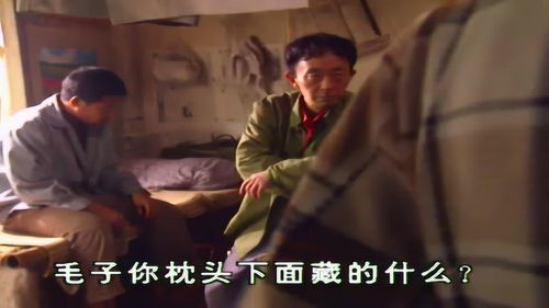 毛子任