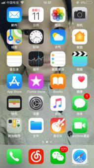 苹果怎样安卓系统版本,系统版本演变与技术创新概览
