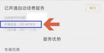 安卓系统如何取消续费,安卓系统取消续费操作指南