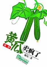 黄瓜小说 