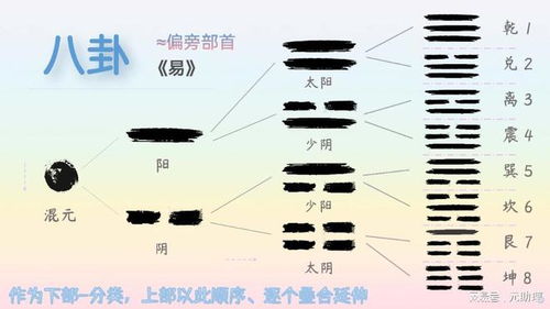 巽风安卓系统要求,探索极致性能与流畅体验的奥秘