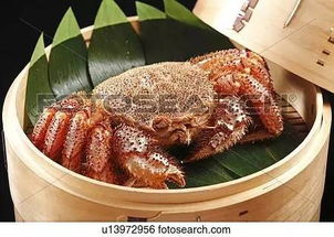 好胜毛蟹